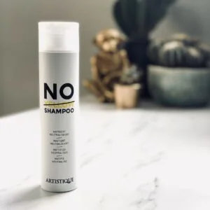 Artistique No Yellow Shampoo (super sterke zilvershampoo) 250ml